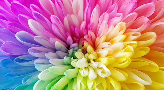 可能性開花ベーシックコース