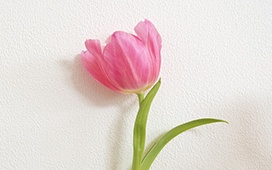 可能性開花1Dayセミナー